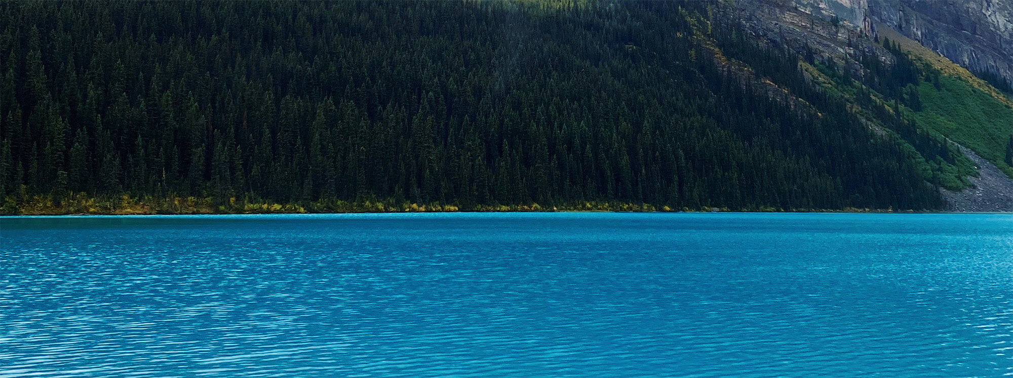 Top 5 Basement Renovation Trends in Calgary